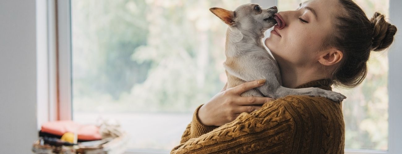 Quando alguém da família cuida do pet e você sente que perdeu o vínculo